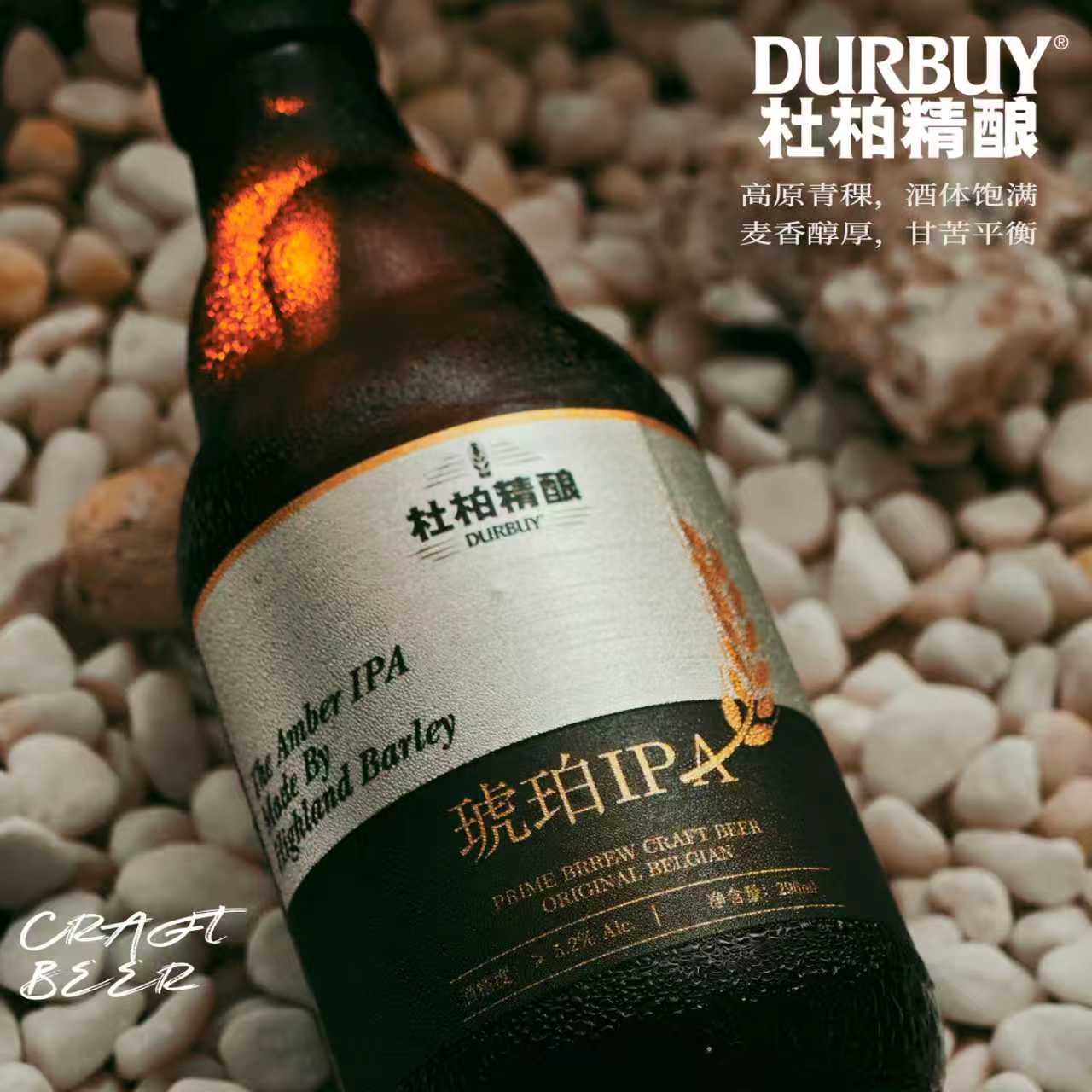 琥珀IPA 296ML*12瓶 纯麦精酿 零添加 无勾兑